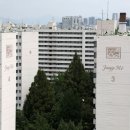 장미관문 이미지