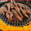 신마포갈매기 이미지