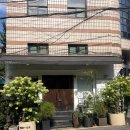 서리풀3길 6-5 | 서초동꽃집 친절하고 예쁘게 잘해주는 루프탑플라워 재방문 후기