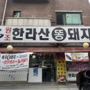 한라산똥돼지 이미지