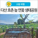 호촌늪 이미지