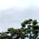 성모성탄 꾸리아 야외행사(양평 양근성지 순례) 이미지