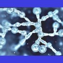 주식회사 천도 이미지