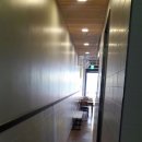 리즈커리 이미지