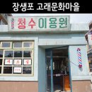 울산 장생포 고래문화마을 후기