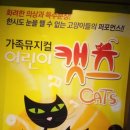어린이 캣츠 이미지