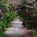 화흥 농장 이미지