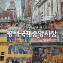 국제중앙시장 제2공영주차장 | 평택국제중앙시장 송프란시스코 송탄가볼만한곳 추천