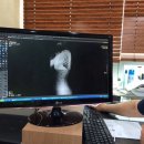 휴짐나지움 이미지