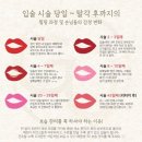 바나나브로우