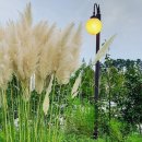 혜전대미용실 이미지