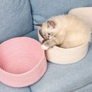 펫츠하우스 이미지