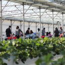 보성오토 이미지