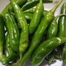 선산이용소 이미지