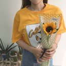 리코플레르