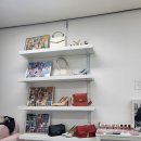 김윤아 퍼스널 뷰티 | 컬러시그널 퍼스널컬러 내돈내산 후기