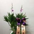 예가꽃예술원