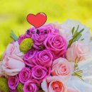 100세 건강의료기 이미지