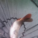 팔미리낚시터 이미지