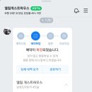 속초 게스트하우스 파티 엘림 게하 2박 찐 후기