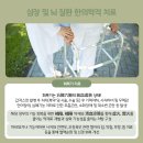 미가람부부한의원