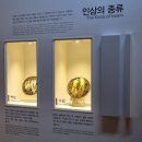 인삼박물관 | 영주 가볼만한곳(영주 인삼 박물관)