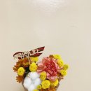 양진병설유치원 이미지