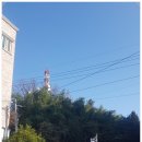 중화산1동주민센터 이미지