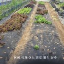 여주-0554 이미지