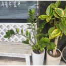 당진동부공인중개사사무소 | 당진부동산 당진 네이브 공인중개사사무소 이용 후기