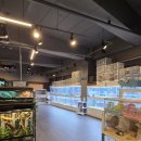 와우(양산점) 이미지