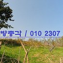 장묘사업개발