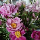 구룡2리경로당 이미지