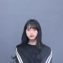 댕댕뷰티 이미지