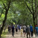 금곡동-13 이미지