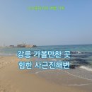 사근진해변 해중공원 | 강릉 가볼만한 곳 사근진해변 해중공원전망대, 백야커피