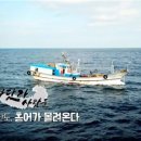 흑산도홍어전문 이미지