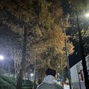 왕가탕후루(일곡점) 이미지