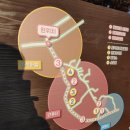 도덕1리 이미지