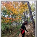 목포 유달산의 풍경 이미지