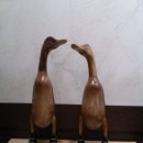 청풍공설운동장 공설운동장 이미지