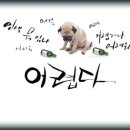 술시 이미지