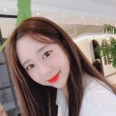 데일리브라운 이미지