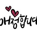 치요남속초