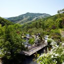 밤섬