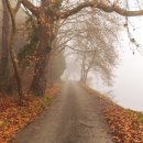 주식회사 두 이미지