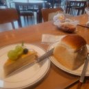 모다드는 집 이미지