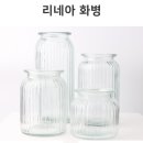 다미그린 이미지