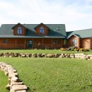 진흥민박 이미지