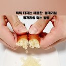 함평애플망고농장 네이버블로그